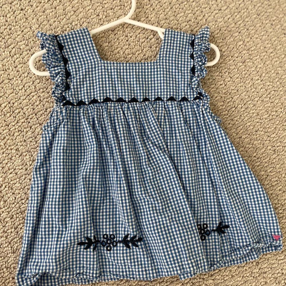 Pink chicken blue gingham embroidered top